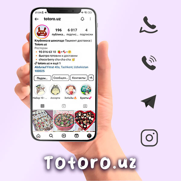 totoro-instagram